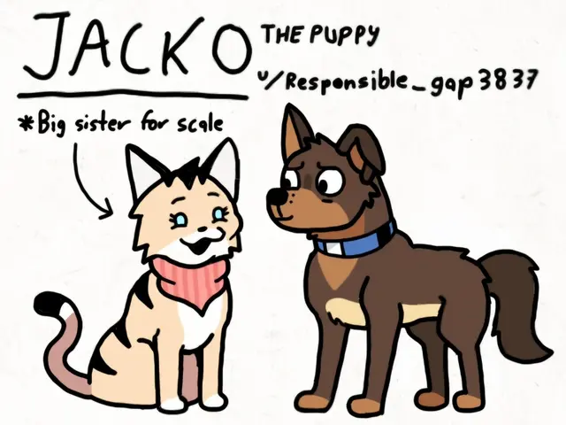 Profile image of Jacko