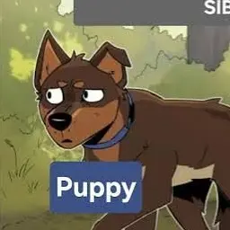Profile image of Jacko