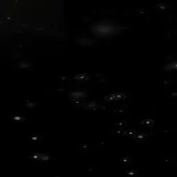 Profile image of 회색늑대