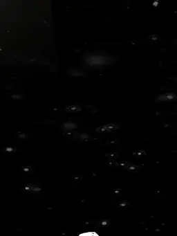 RobustFob1553의 나만할거임