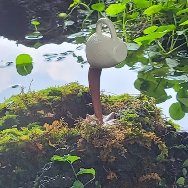 Profile image of 귀칼