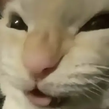 Profile image of 페스트