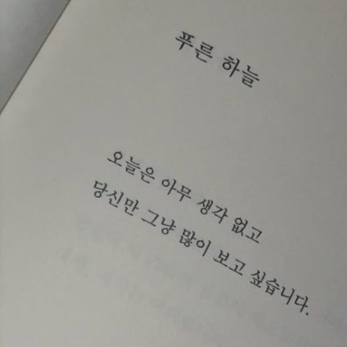 0911 대표 이미지
