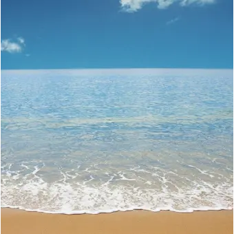 Profile image of 안고은