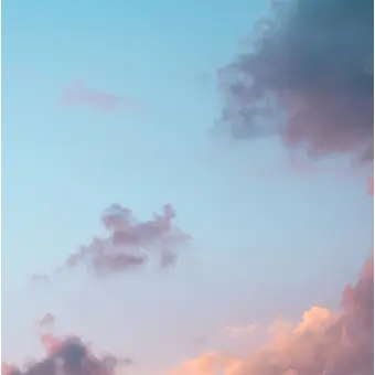 Profile image of 박진언