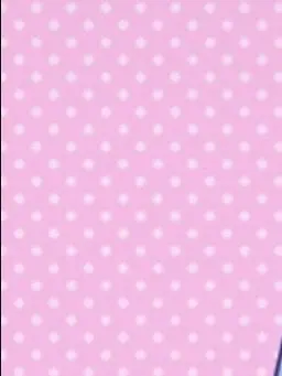 FakeGate9193의 私用