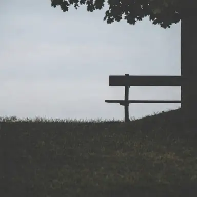 Profile image of 정공룡