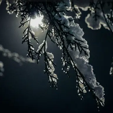 Profile image of 김각별