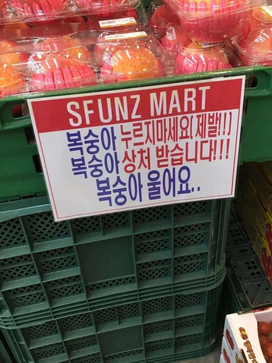 Oo_oOo-oo..의 進退維谷