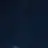 정핝