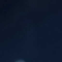 정핝