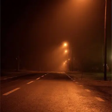 Profile image of 박 영환