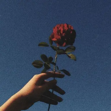 Profile image of 권지용