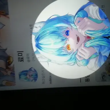 Profile image of 료미