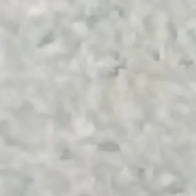 FestalPatio5897의 실험체