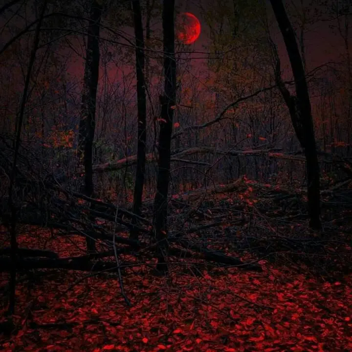 yeobaeg의 개인용