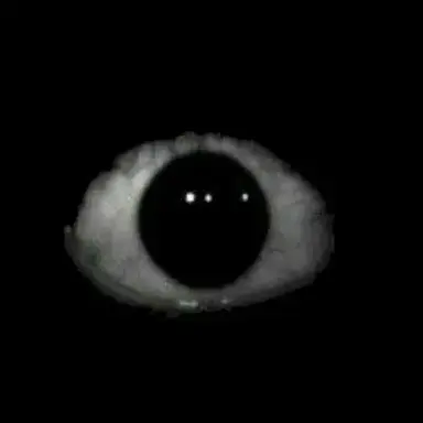 Profile image of DW Infection AU