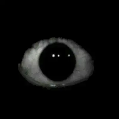 SubtleRain0559의 DW Infection AU