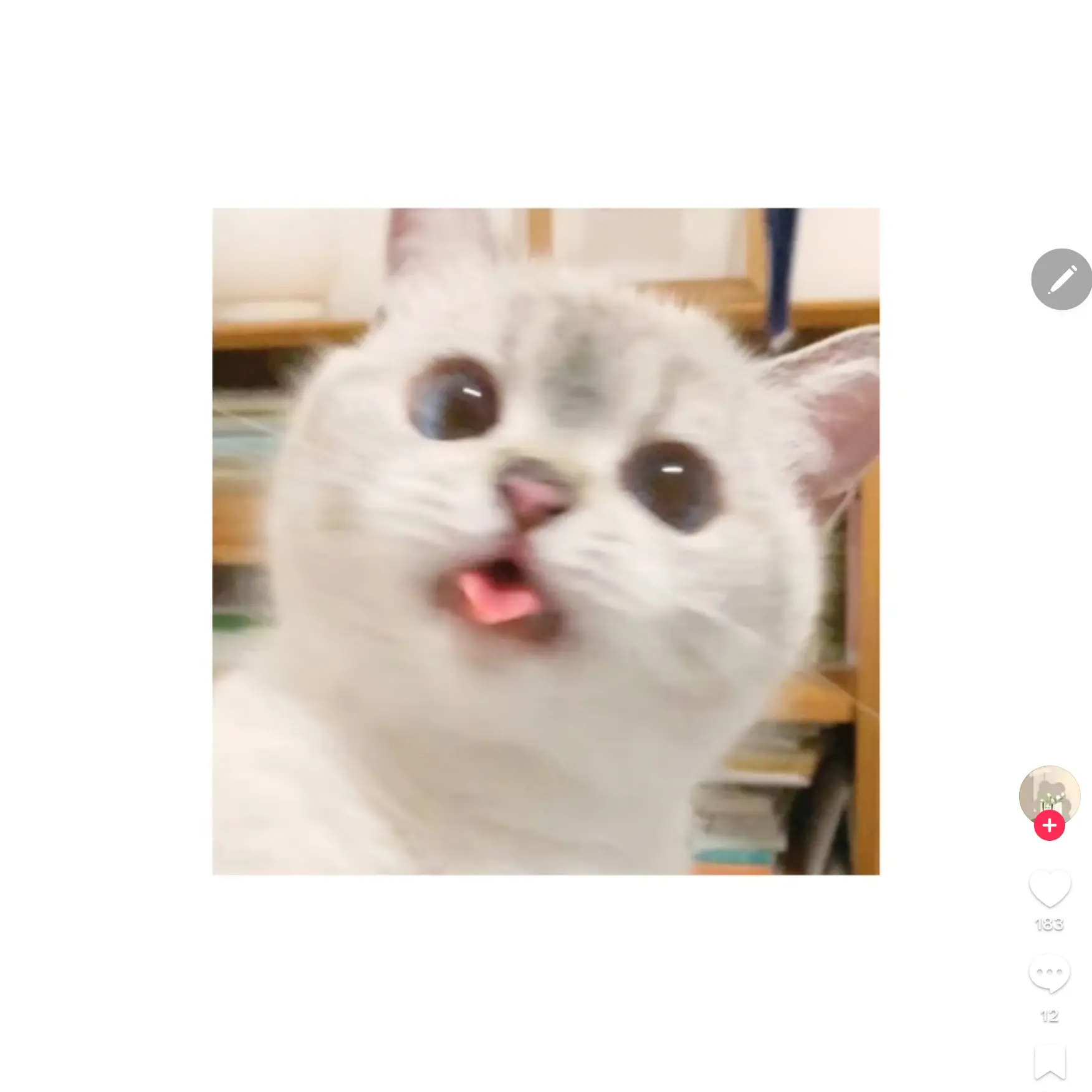 FatIce9784의 팀나빠 학교