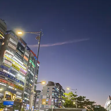 Profile image of 늑일