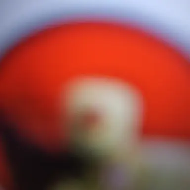 Profile image of 존도