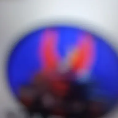 Profile image of 게스트666