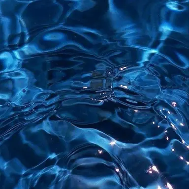 Profile image of 싸이클