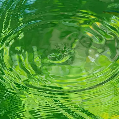 Profile image of 텔러