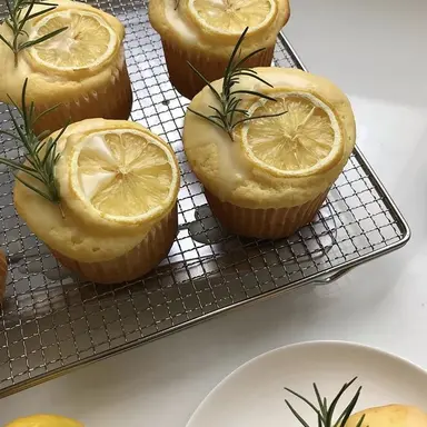 Profile image of Mr. Lemon