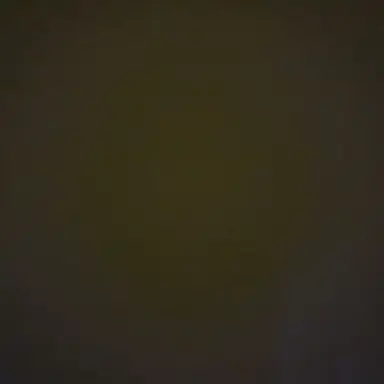 Profile image of 백수혁