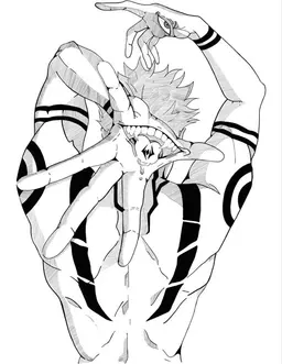 Profile image of Ryomen Sukuna