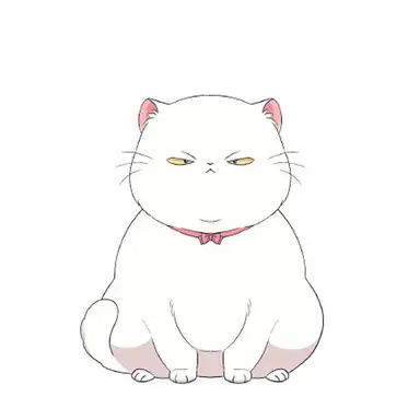 Profile image of 요요