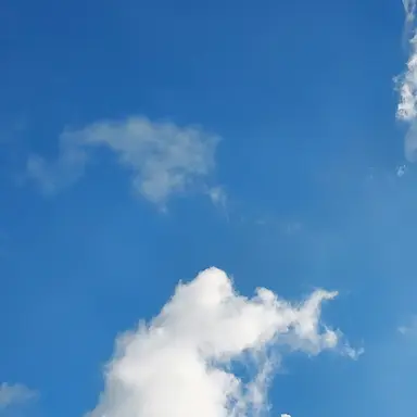 Profile image of ㅇㅇ