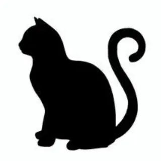 Profile image of R