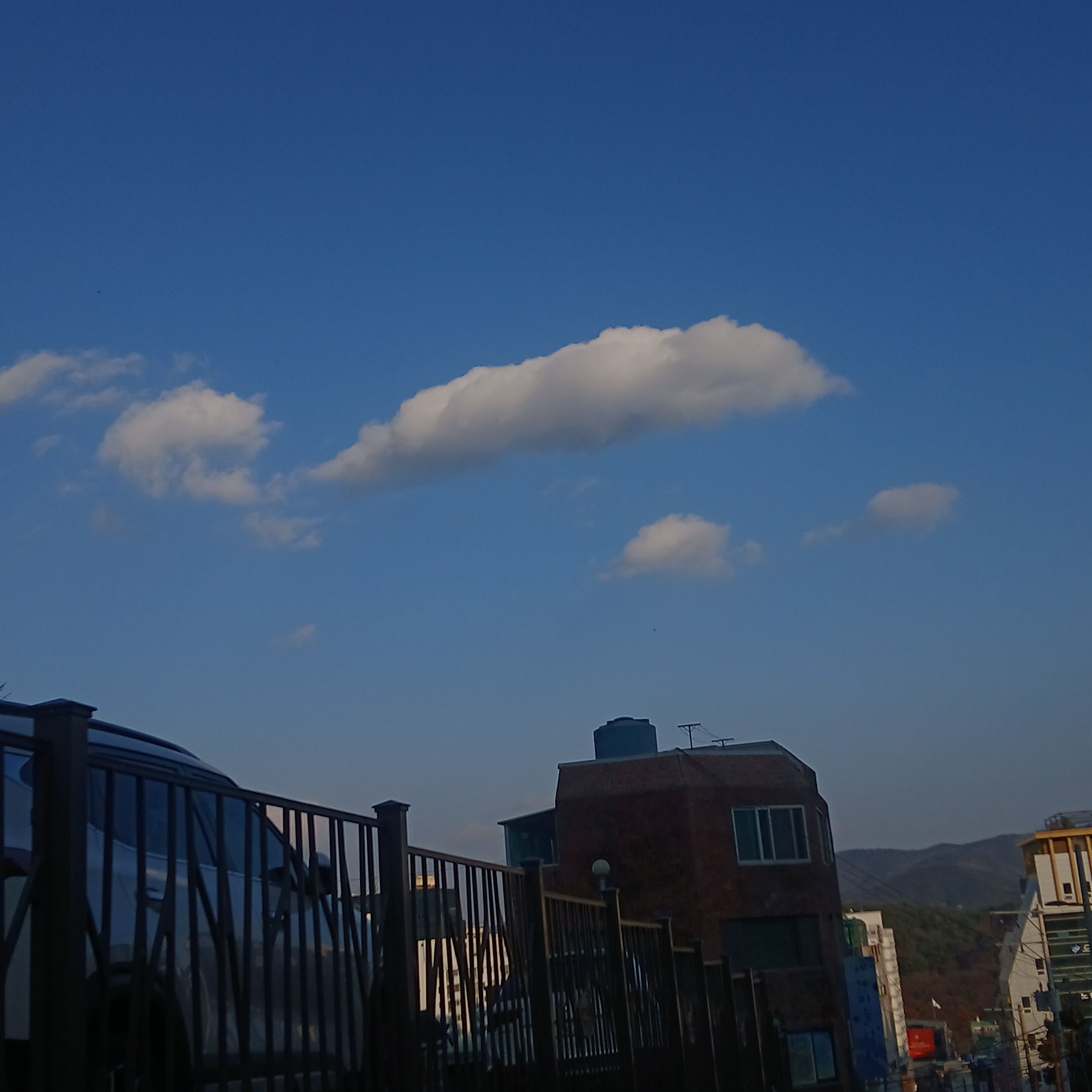 미수반당신은공룡그런데범인과대치중쓰러짐 대표 이미지