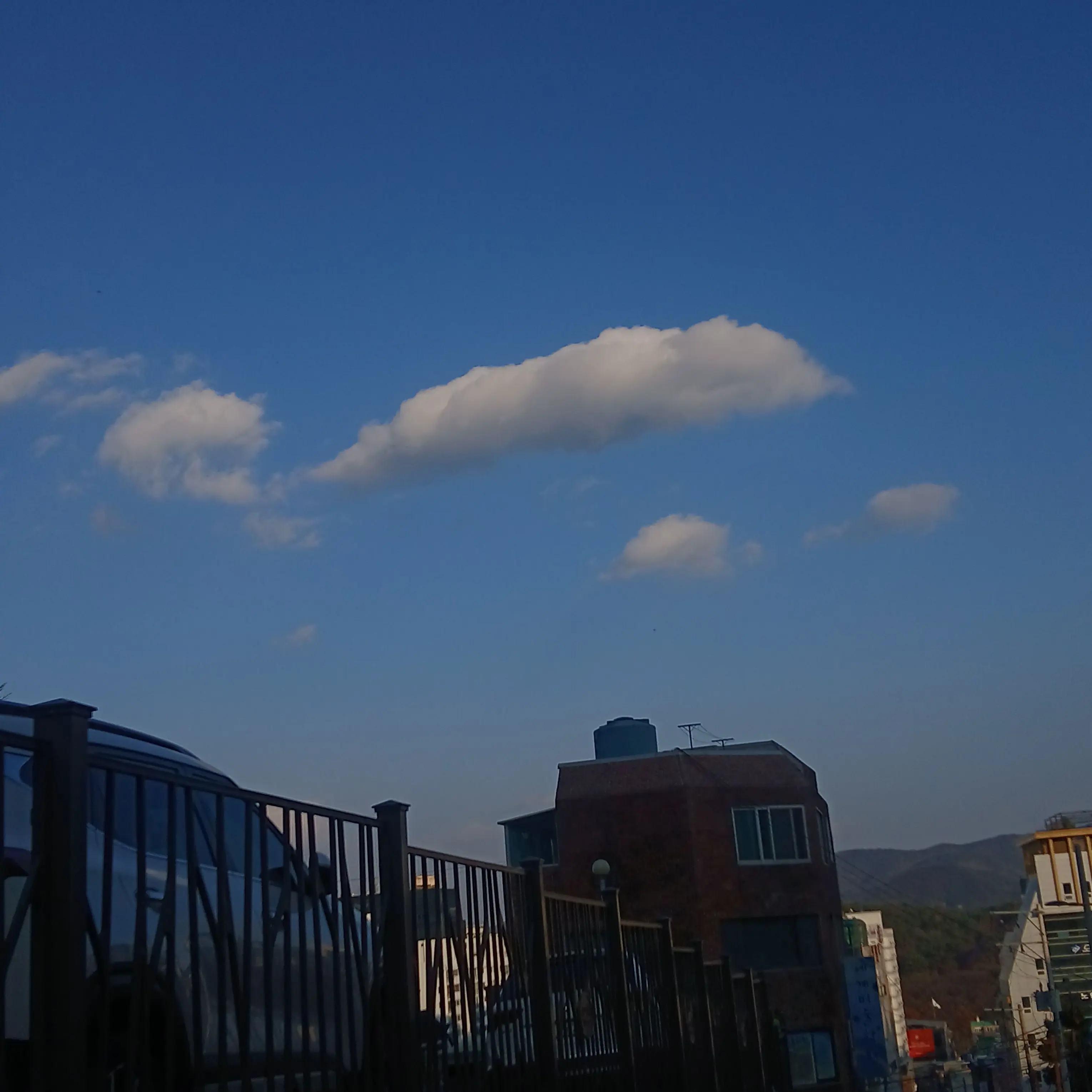 FolksyChime3893의 미수반당신은공룡그런데범인과대치중쓰러짐