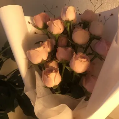 Profile image of 이 진