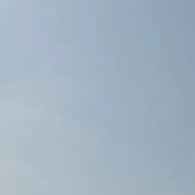 Profile image of 호엔하임