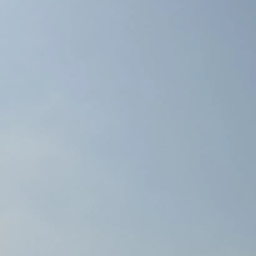 DrearyBell8793의 ㅈㅂ 개인용임 ㅈㅈㅂ