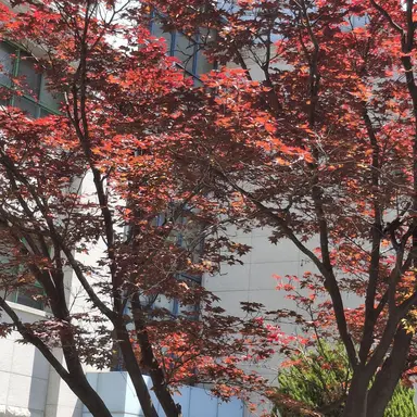Profile image of 권민구
