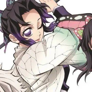 Profile image of 胡蝶 しのぶ