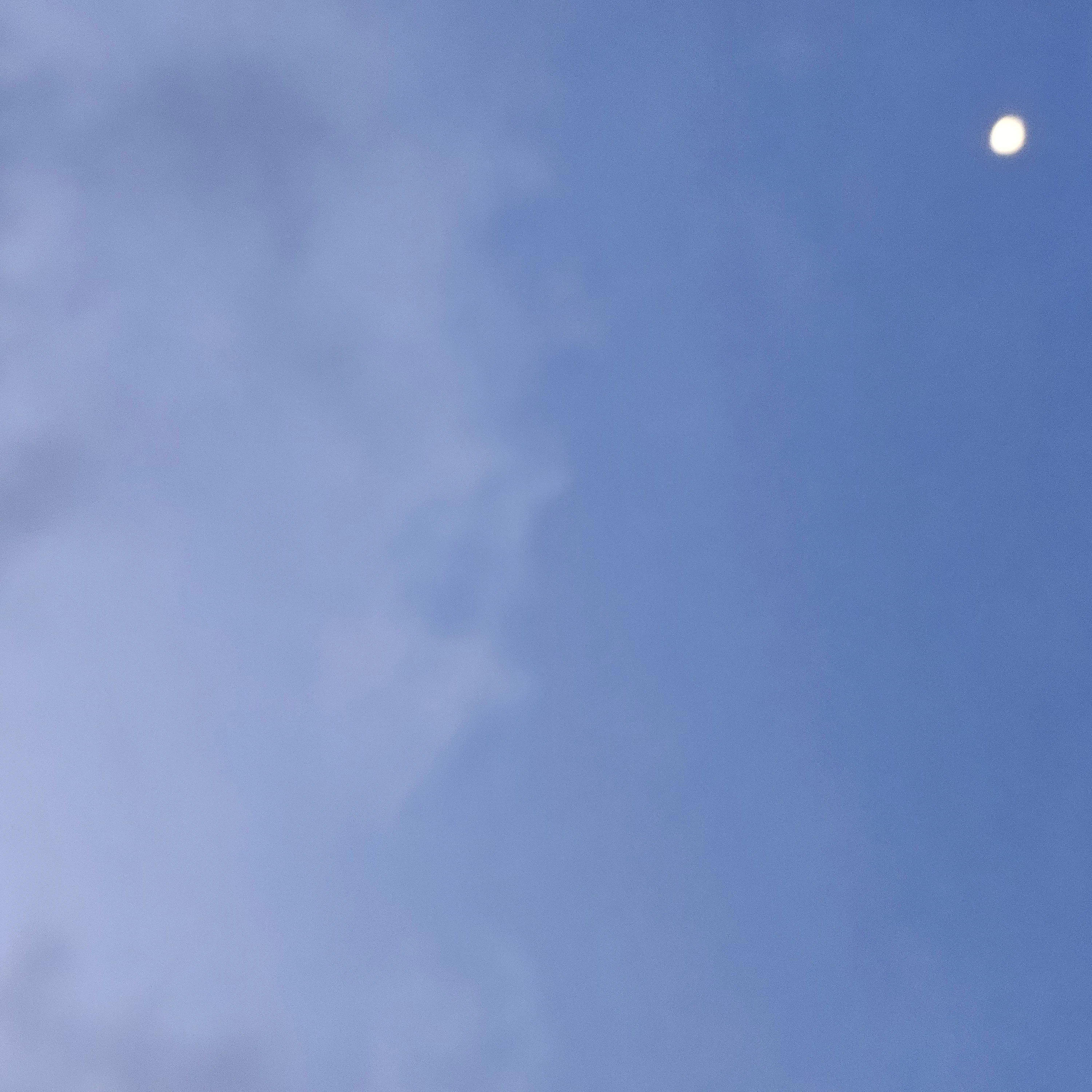 대저택