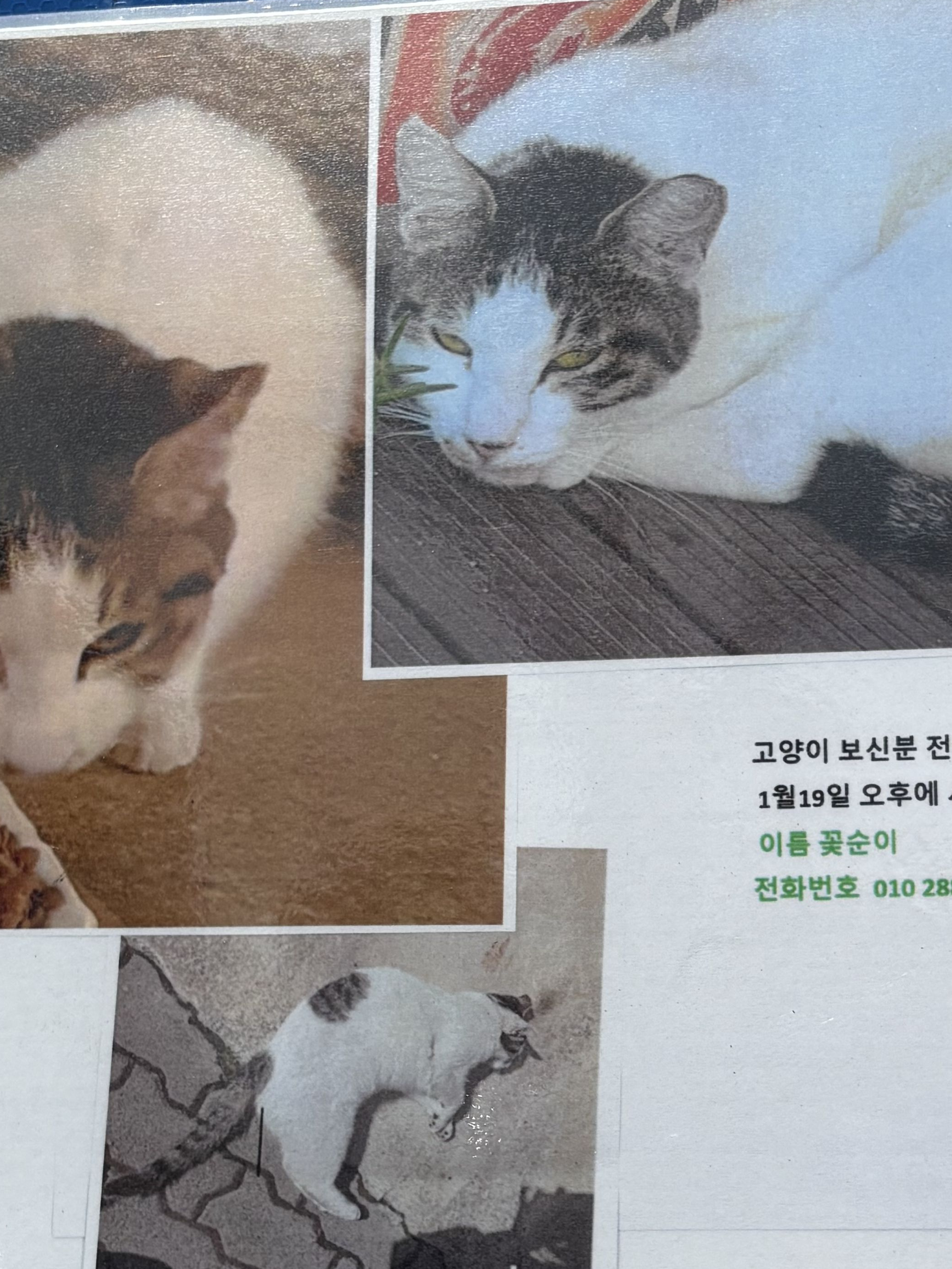 권오선 대표 이미지