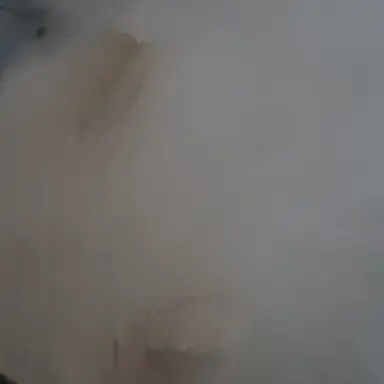 Profile image of 이상혁