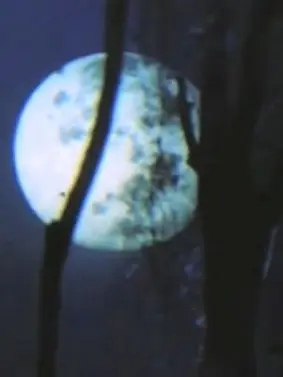 Ilikemonkeys-heart의 《...용서해주세요..》