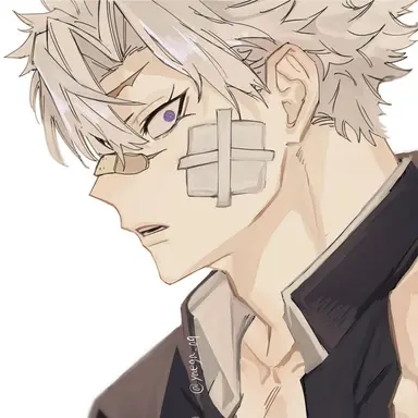 Profile image of 시나즈가와 사네미