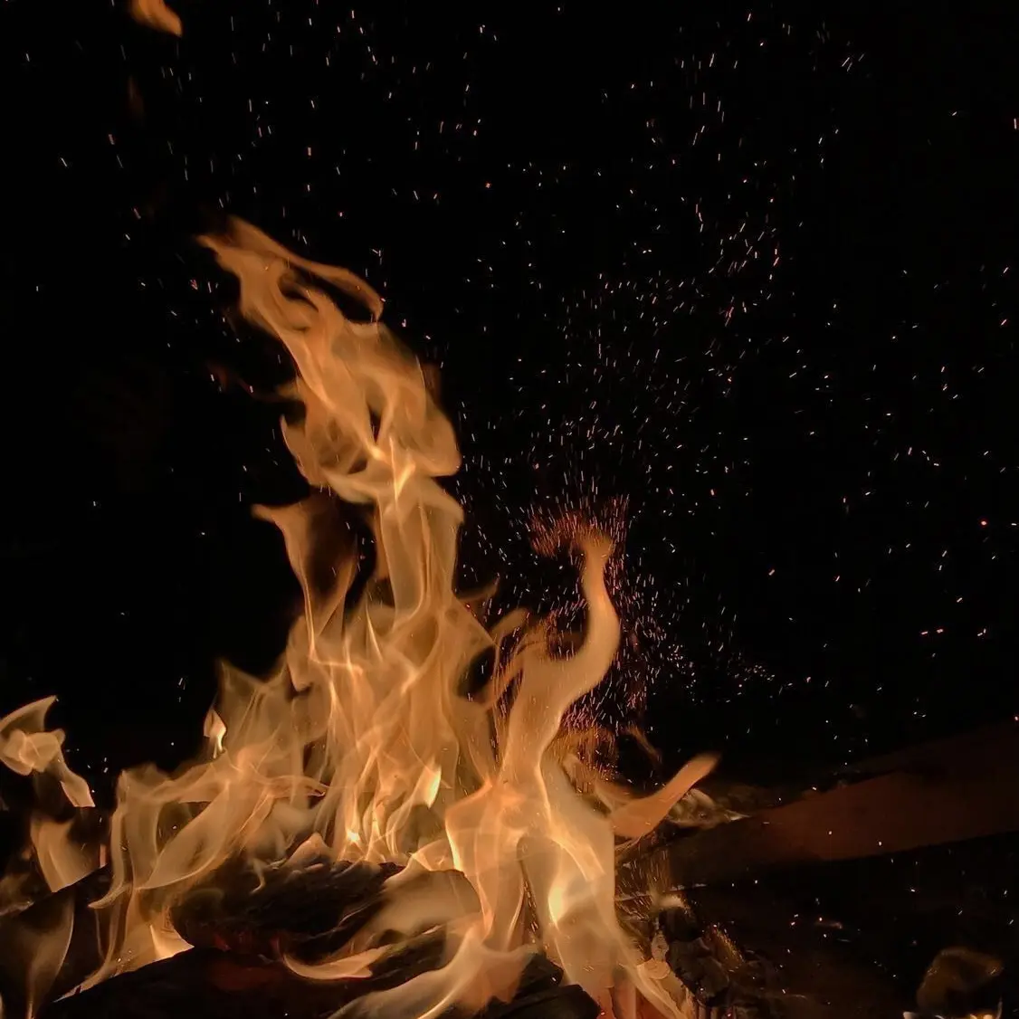 Koyouki의 “ 어른들은 다 거짓말쟁이야 — “