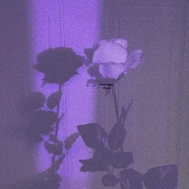 Profile image of 수현