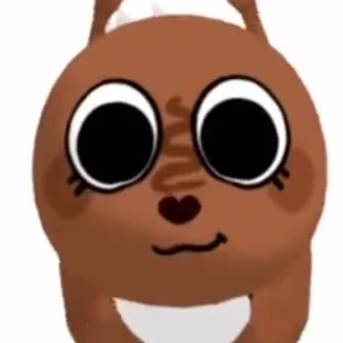 코코아