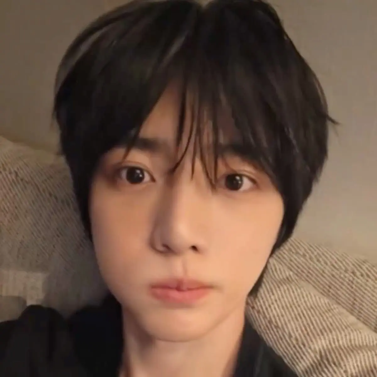 twinkgyu의 texting